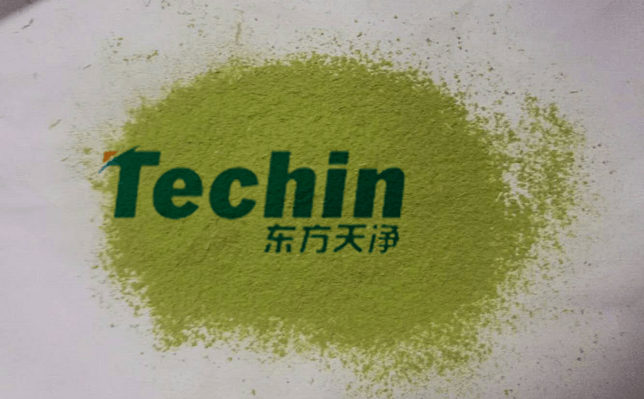 香蕉视频入口后的植物叶片